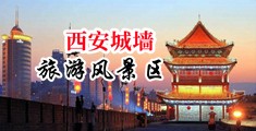 可以看的黄色尻屄网站污!!!中国陕西-西安城墙旅游风景区